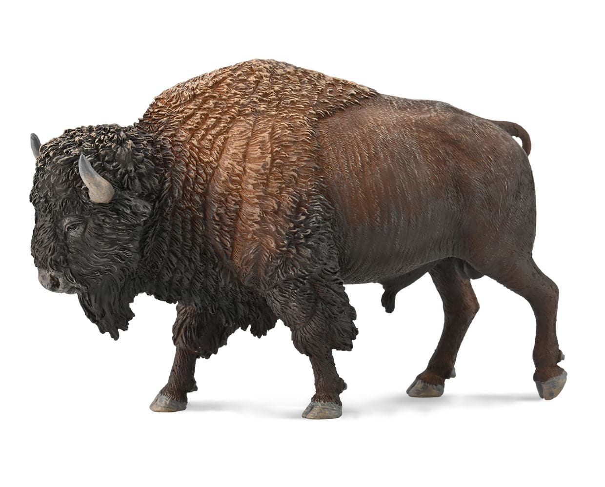 American Bison - Image 2
