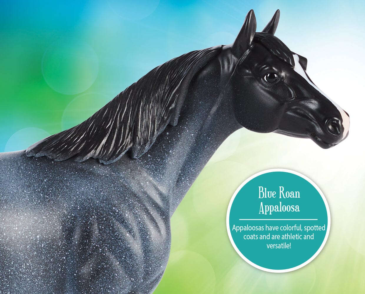 Blue Roan Appaloosa - Image 5