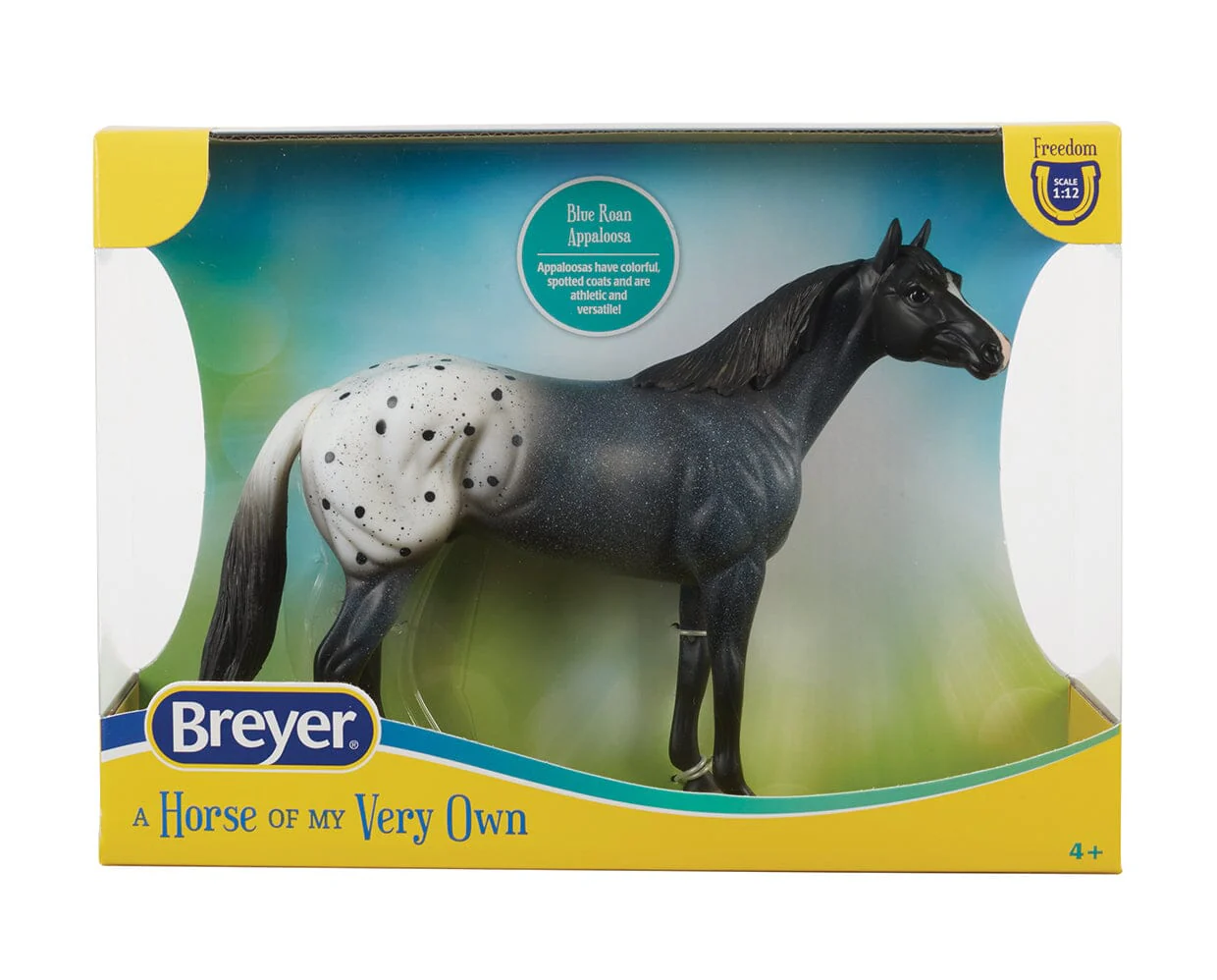 Blue Roan Appaloosa - Image 6