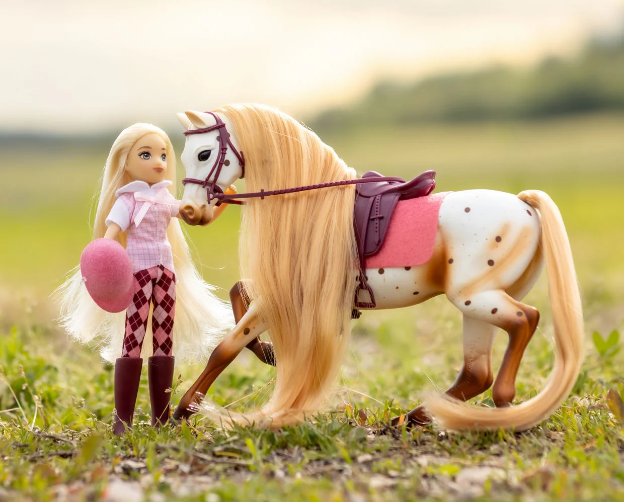 Tess & Birdie | English Rider with Horse - Image 3