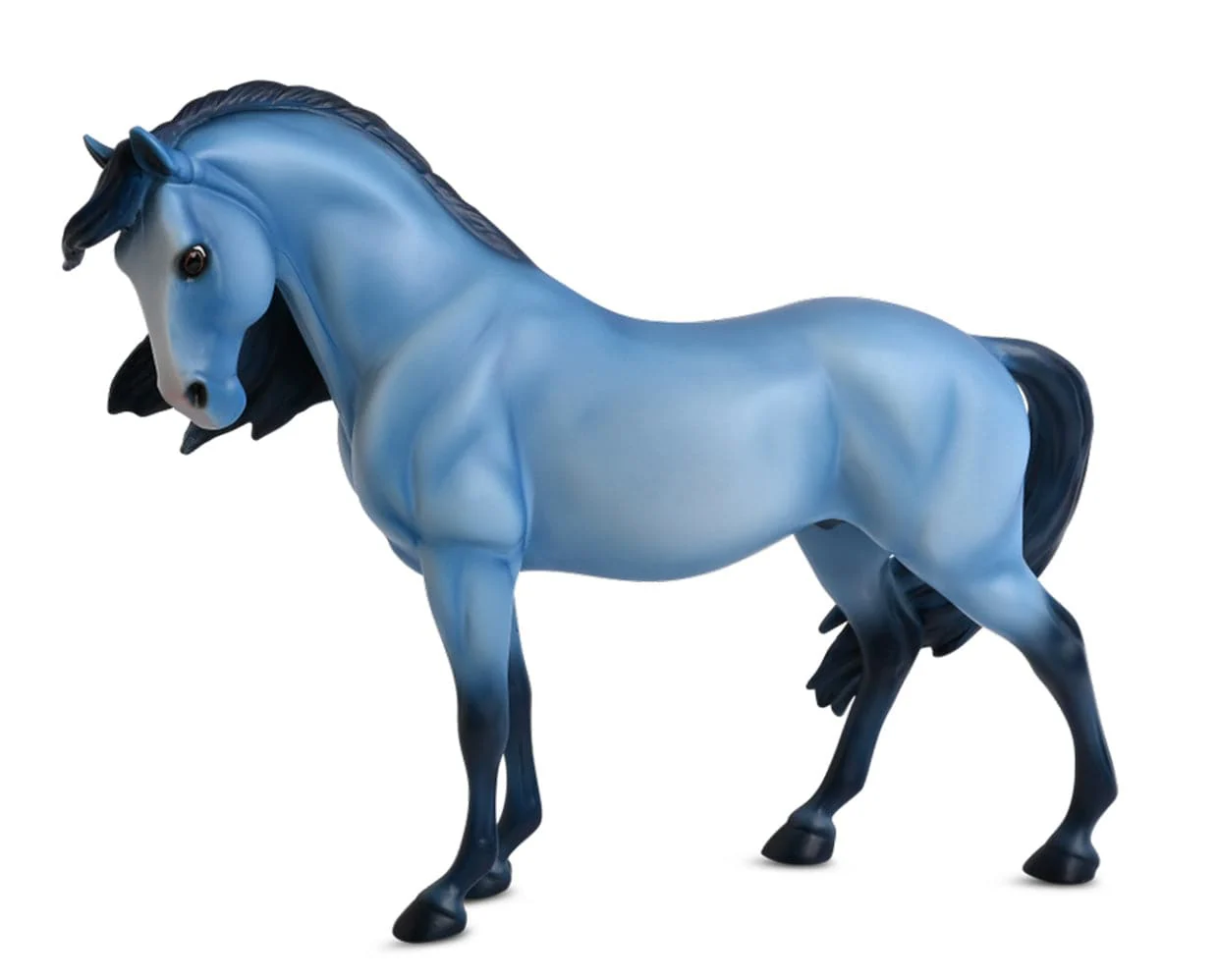Franz | BreyerFest 2022 Special Run