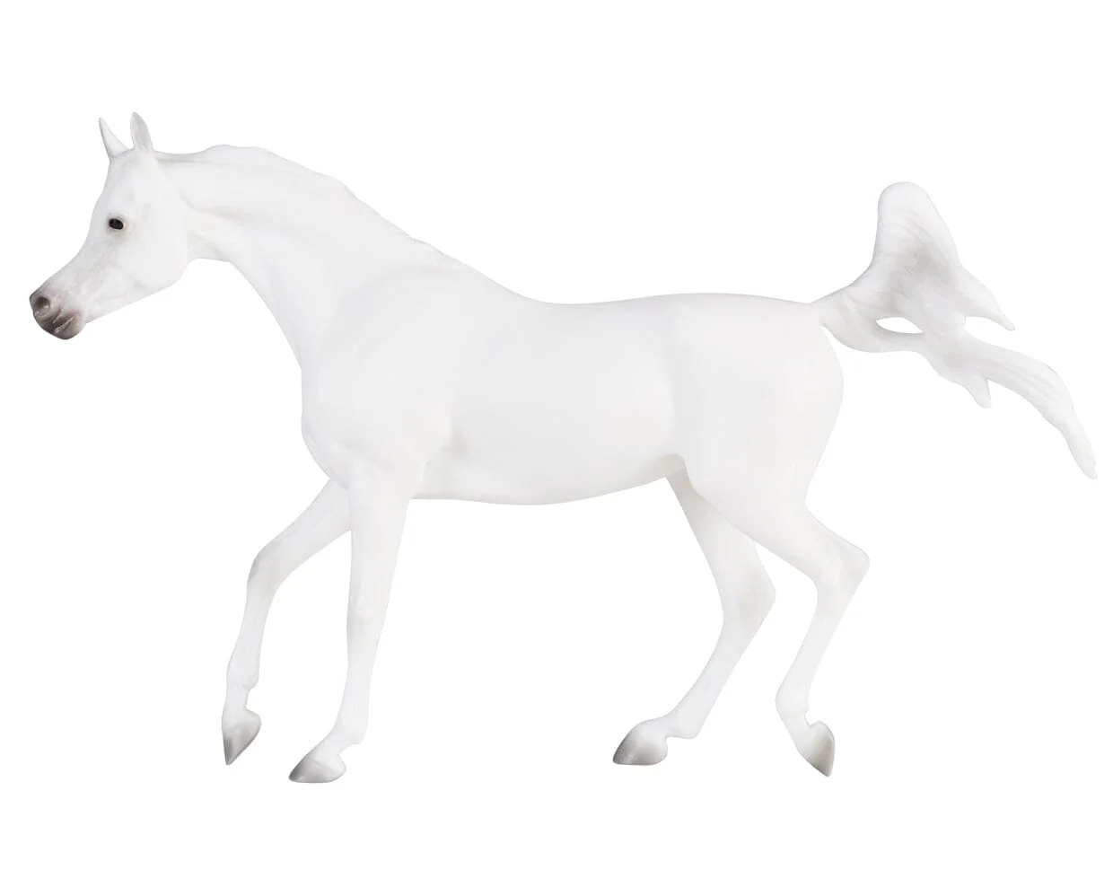 Grey Arabian - Image 4