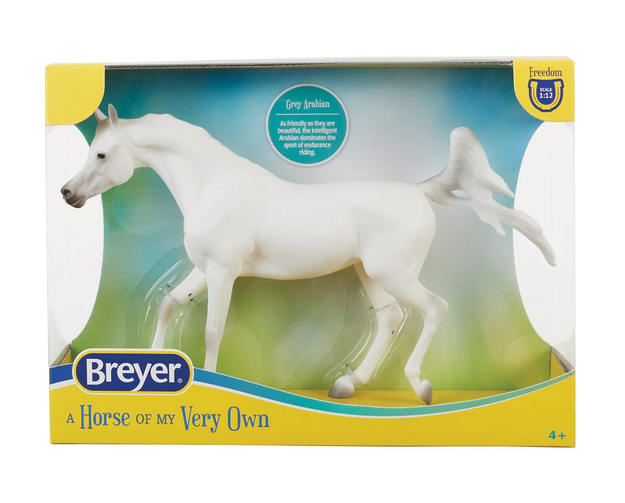 Grey Arabian - Image 6