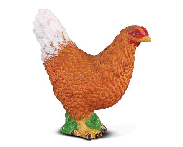 Hen