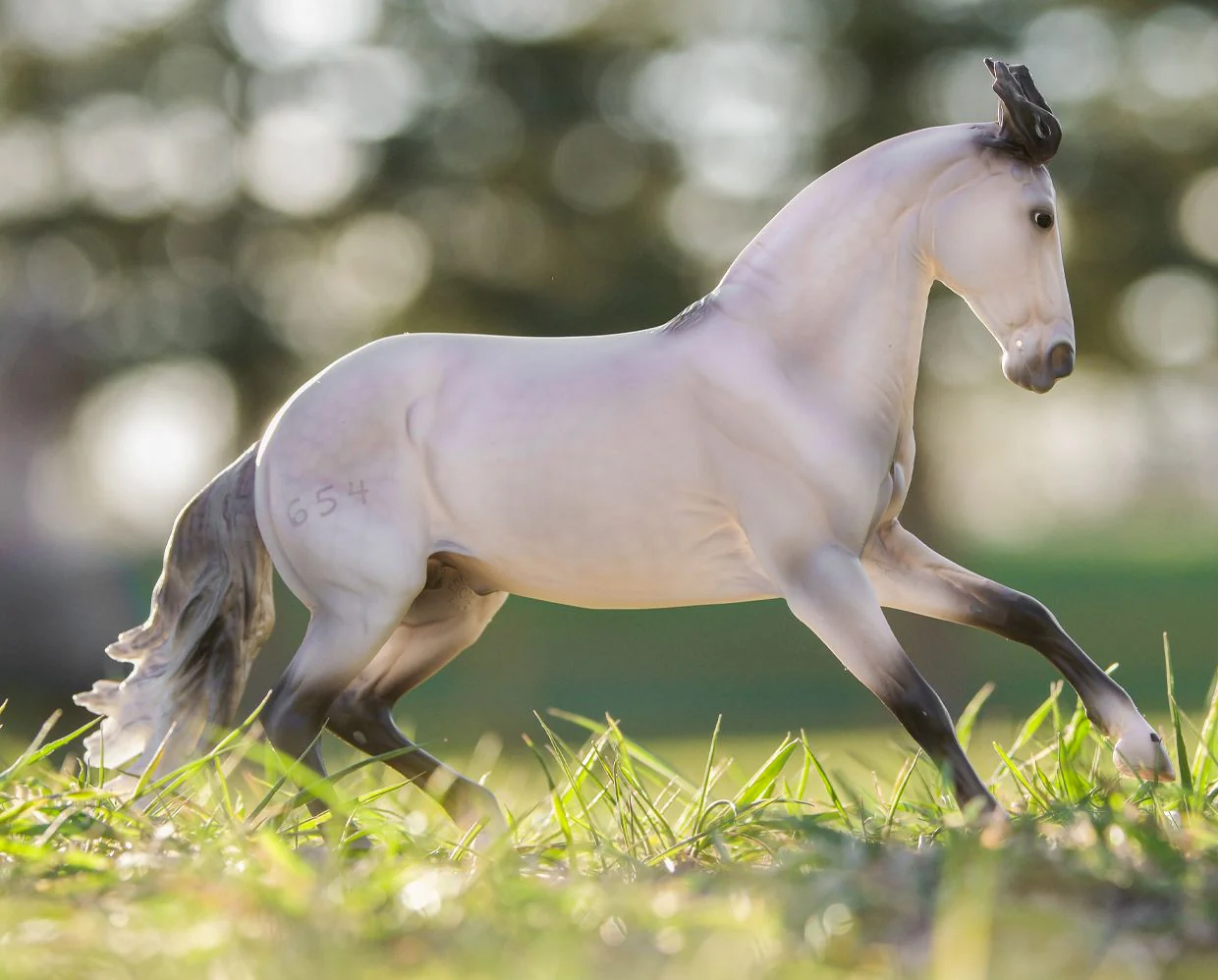 Jaguel Hilton | Criollo Stallion - Image 3