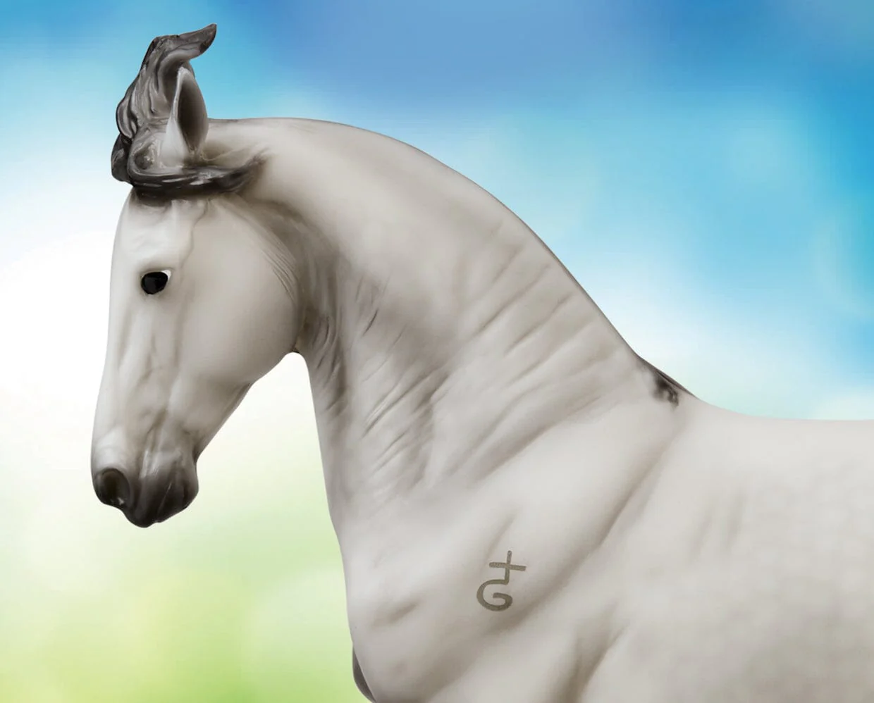 Jaguel Hilton | Criollo Stallion - Image 6