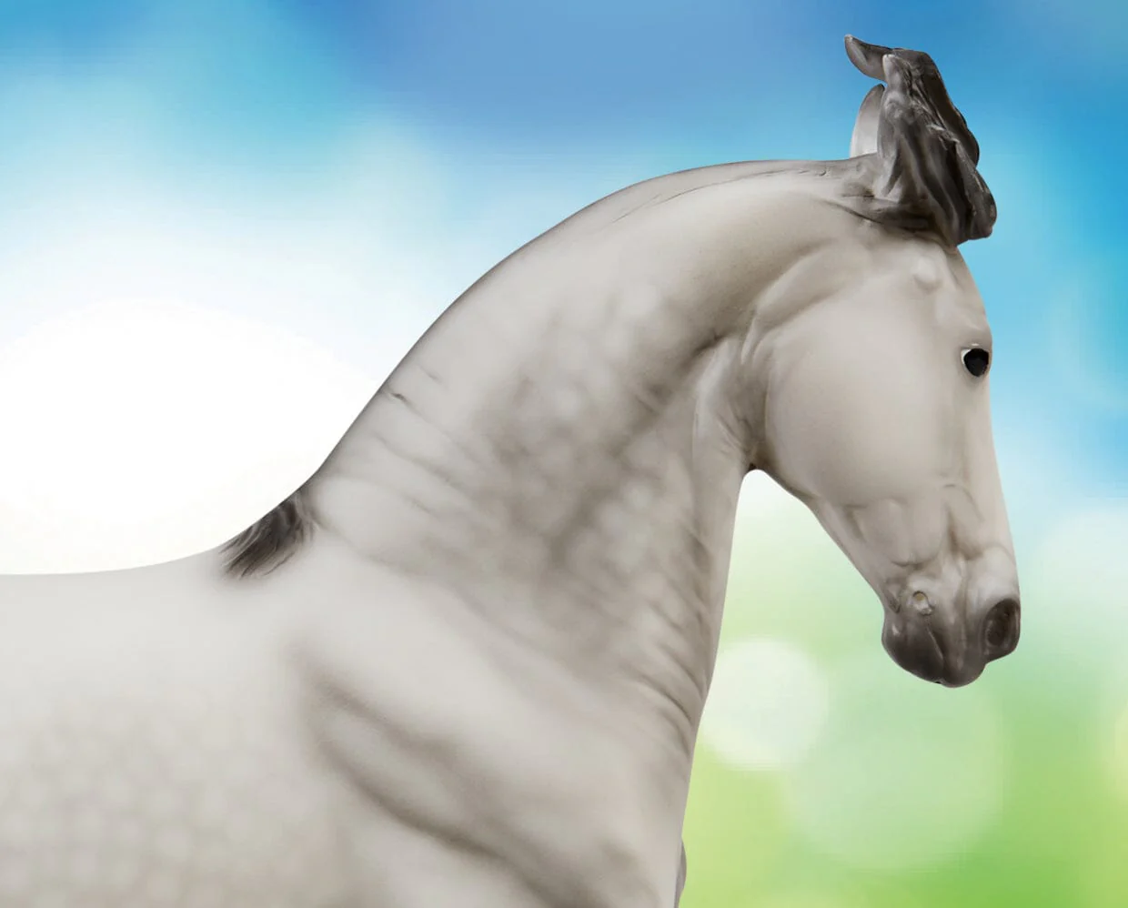 Jaguel Hilton | Criollo Stallion - Image 7