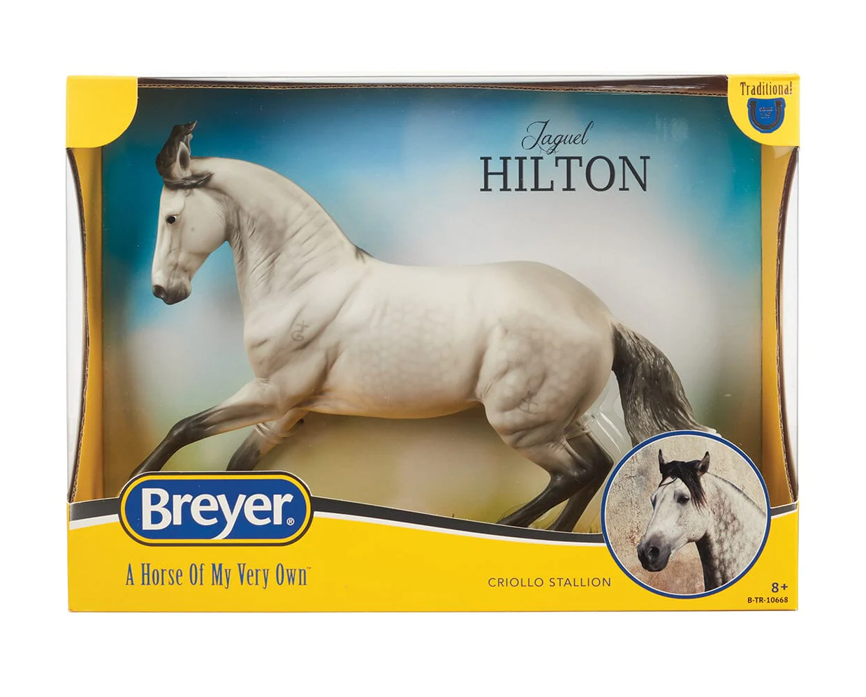 Jaguel Hilton | Criollo Stallion - Image 8