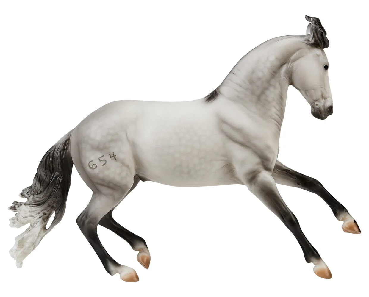 Jaguel Hilton | Criollo Stallion - Image 9