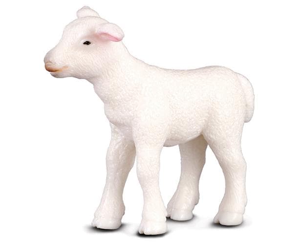 Lamb