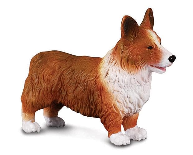 Welsh Corgi